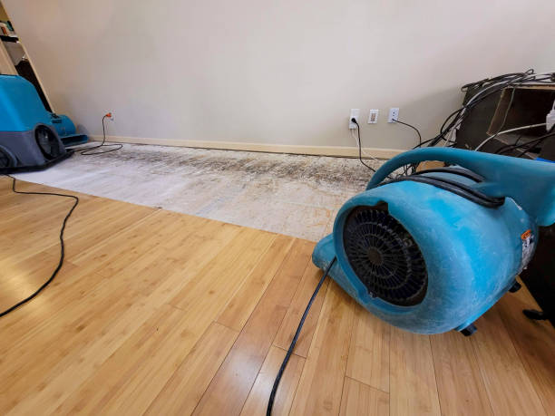 Professional Ceiling Water Damage Repair technician working in Sewanee, TN